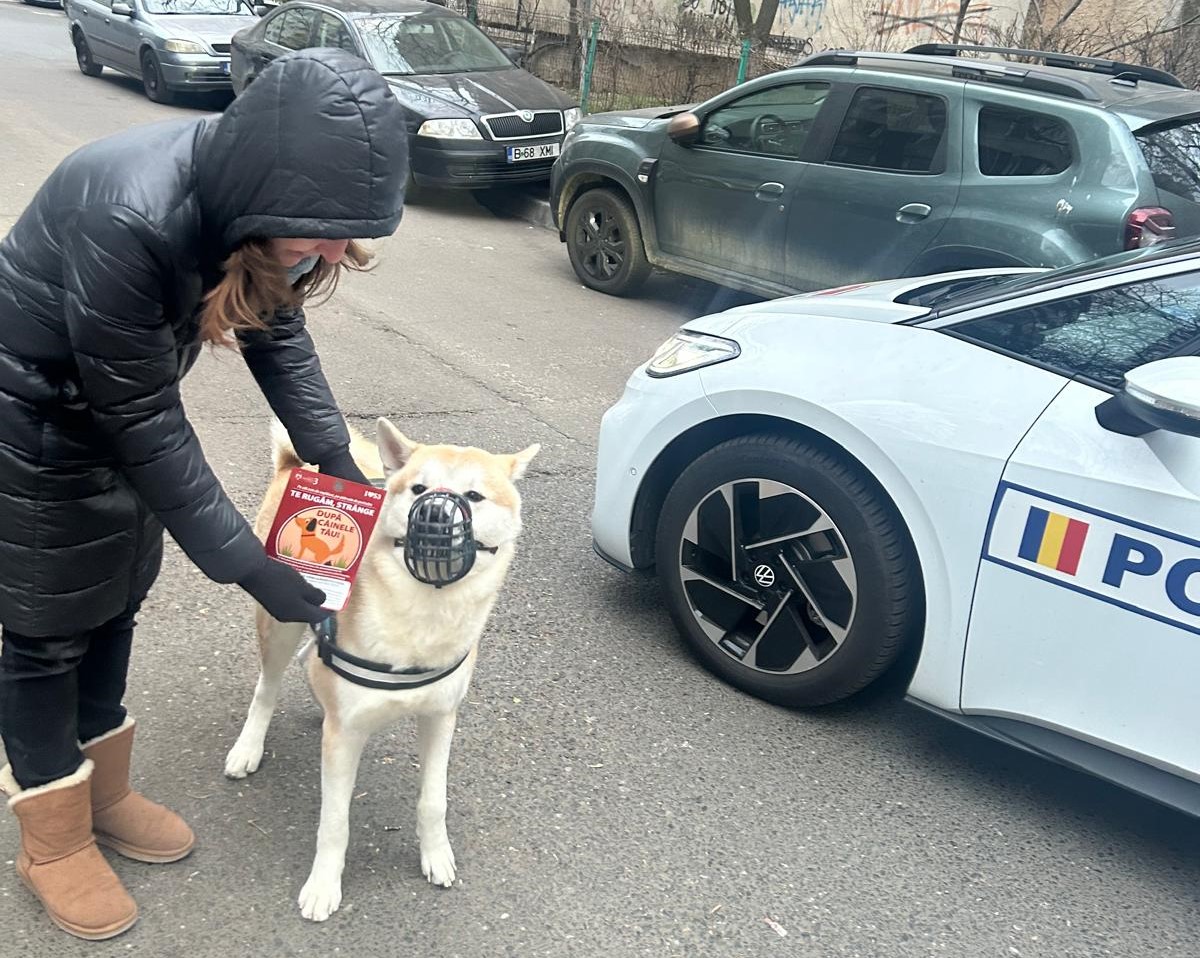 Te rugăm, strânge după câinele tău! 199 de proprietari de câini, sancționați pentru nerespectarea obligațiilor